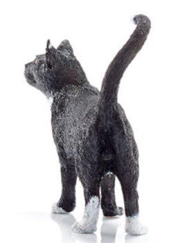 KATZE SCHWARZ - STEHEND